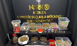 Antalya'da narkotik suçlarla mücadele sürüyor