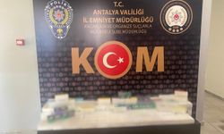 Antalya'da son bir haftada kaçakçılık ve organize suç operasyonlarında 2 kişi tutuklandı