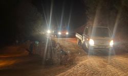 Gazipaşa'daki orman yangını nedeniyle Mersin Anamur'da iki mahalle boşaltıldı