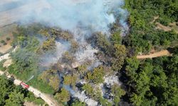 Antalya'nın Manavgat ilçesinde çıkan orman yangını kontrol altına alındı