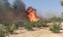Mersin'in Silifke ilçesinde çıkan orman yangınına müdahale ediliyor