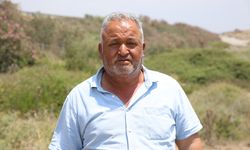 Hatay'da 67 keçinin telef olması üzerine inceleme başlatıldı