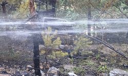 Isparta'da alev alan otomobilin sürücüsü yaralandı