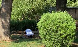 Kahramanmaraş'ta sıcak hava etkisini sürdürüyor