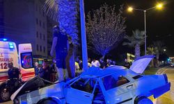 Osmaniye'de refüjdeki ağaca çarpan otomobilin sürücüsü hayatını kaybetti