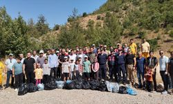 Saimbeyli'de ormanlık alanda temizlik yapıldı