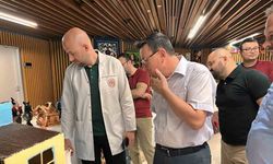 Antalya Şehir Hastanesi AMATEM biriminden farkındalık sergisi