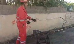 Evin bahçesine giren yılanı itfaiye yakaladı