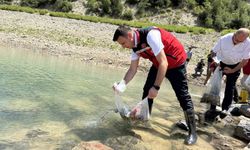 Karacaören Göleti’ne ilk kez 10 bin pullu sazan yavrusu bırakıldı
