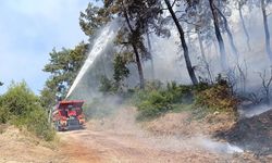Manavgat’ta ormanlık alan yangınında 3 hektar alan zarar gördü