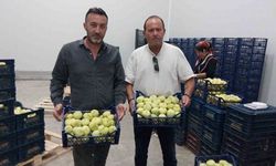 Mut beyaz inciri ihracata gidiyor