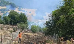 Antalya'da makilik alanda çıkan yangına müdahale ediliyor