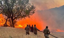 Çıkan 61 Orman Yangınıyla İlgili 4 Şüpheli Tutuklandı