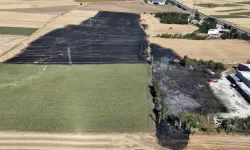 Edirne'de buğday tarlasında çıkan yangın söndürüldü