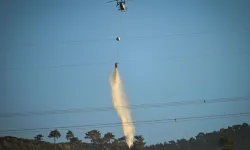Hatay'daki orman yangınında zarar gören alanlar dronla görüntülendi