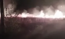Isparta'da ekin tarlasında çıkan yangın söndürüldü