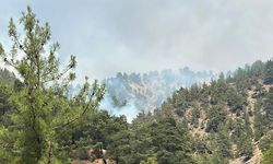 Orman Yangınlarıyla İlgili 39 Şüpheli Tutuklandı