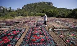 Kavurucu sıcaklar, tarlalara serilen halıların daha fazla pastelleşmesini sağlayacak