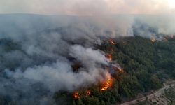 Orman yangınlarıyla ilgili 39 şüpheli tutuklandı