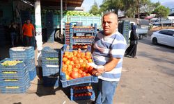 Salça Dönemi Başlamayınca Domatesin Fiyatı 3 TL'ye Kadar Düştü