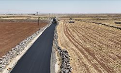 Şırnak'ta Atıl Araziler Tarıma Kazandırılıyor, Toplanan Taşlarla Köy Yolları Asfaltlanıyor