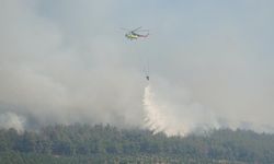 Tekirdağ'daki Orman Yangınına Müdahele Sürüyor