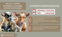 2025 Yılı 1. Dönem Büyükbaş ve Küçükbaş Hayvan Desteklemesi Başvuruları Başladı