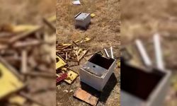 Afşin’de Arı Kovanlarına Ayı Saldırısı: 26 Kovan Zarar Gördü
