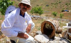 Ağaç Kütüğünde Saklı Şifa: Engizek’in Doğal Balı