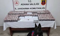 Adana'da 19 bin 167 sentetik uyuşturucu hap ele geçirildi