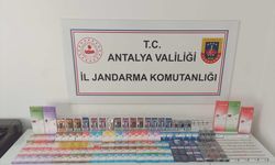 Alanya'da jandarma ekipleri tarafından kaçakçılıkla mücadele sürüyor