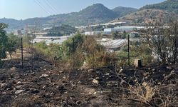 Alanya'da otluk ve çalılık alanda çıkan yangın söndürüldü