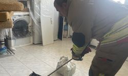 Antakya'da eve giren yılan itfaiye ekibince yakalandı