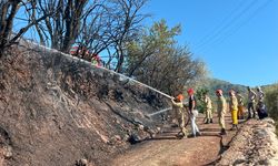 Antalya'da ormanlık alanda çıkan yangın söndürüldü