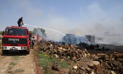 Antalya'da sera alanında çıkan yangının sıçradığı 2 araç yandı