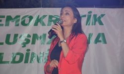 DEM Parti Eş Genel Başkanı Hatimoğulları, Adana'da 'Halk Şöleni'ne katıldı