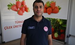 Devlet desteğiyle kurulan soğuk hava deposunda saklanan çilekler 50 ülkeye gönderiliyor