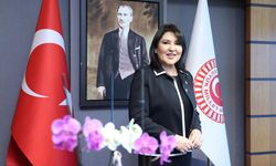 Gezen Sinema Tırı Adana'nın 8 ilçesinde vatandaşlarla buluşacak