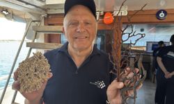 Siyah ve taş mercanlar deniz ekosistemi için kritik önemde