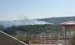GÜNCELLEME - Hatay'da ormanlık alanda yangın çıktı
