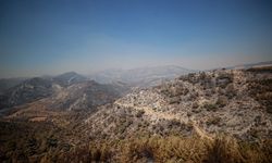 GÜNCELLEME - Mersin'in Silifke ilçesindeki orman yangını büyük ölçüde kontrol altında