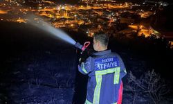Hatay Antakya'da çıkan orman yangını kontrol altına alındı
