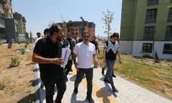 Hatay Valisi Mustafa Masatlı yerinde kentsel dönüşüm çalışmalarını inceledi
