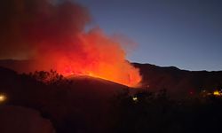 Hatay'da ormanlık alanda çıkan yangına müdahale ediliyor