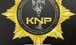 Kahramanmaraş'ta uyuşturucu operasyonunda yakalanan 1 zanlı tutuklandı