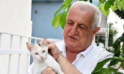 Kalbini açtığı 8 kediye evinin bahçesine koyduğu kulübelerde bakıyor