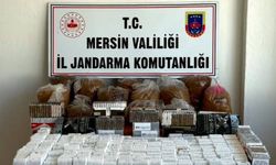 Mersin'de gümrük kaçağı sigara ticareti yapan kişi yakalandı
