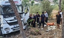 Osmaniye'de ağaca çarpan tırın sürücüsü yaralandı