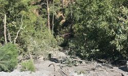 Osmaniye'de arazözün devrilmesi sonucu 1 kişi öldü, 4 kişi yaralandı