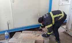 Hatay’da konteynerin altına sıkışan köpek kurtarıldı